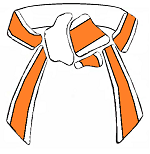 White Orange  Belt